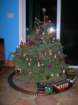 christmas051_small.jpg