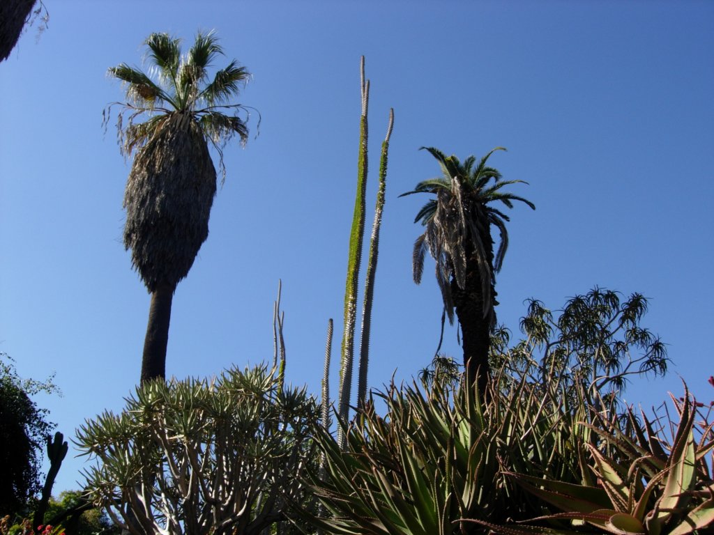 pasadena040.jpg