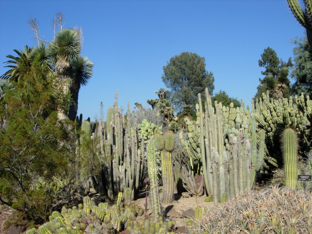 pasadena062.jpg