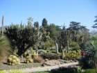 pasadena066_small.jpg