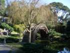 pasadena091_small.jpg