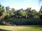 pasadena142_small.jpg