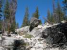 yosemiteloop012_small.jpg