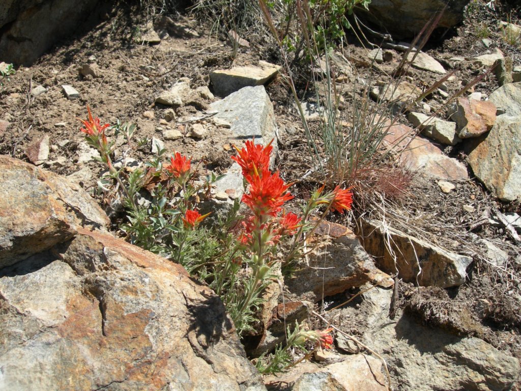 yosemiteloop081.jpg