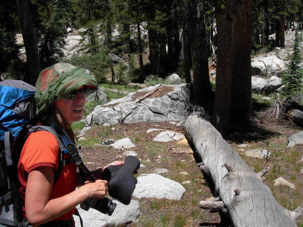 yosemiteloop087.jpg