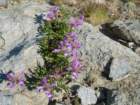 yosemiteloop181_small.jpg