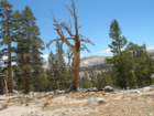 yosemiteloop250_small.jpg