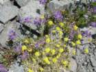 yosemiteloop271_small.jpg