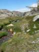 yosemiteloop272_small.jpg
