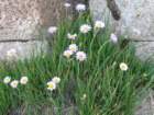 yosemiteloop312_small.jpg