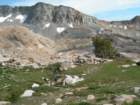 yosemiteloop314_small.jpg
