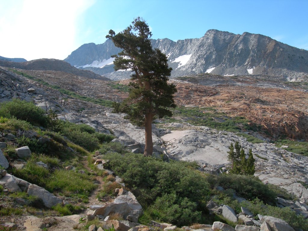yosemiteloop406.jpg
