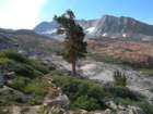 yosemiteloop406_small.jpg