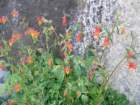 yosemiteloop410_small.jpg