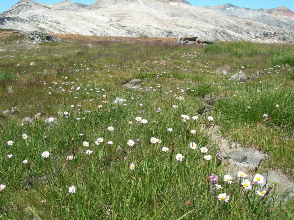 isbergpass137.jpg