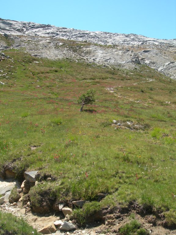isbergpass144.jpg