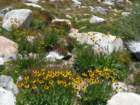 isbergpass203_small.jpg