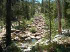 isbergpass316_small.jpg