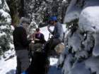 pearlake019_small.jpg