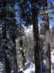 pearlake022_small.jpg