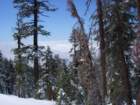 pearlake025_small.jpg