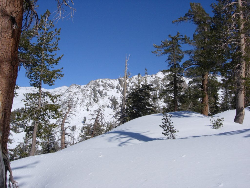 pearlake036.jpg