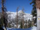 pearlake037_small.jpg