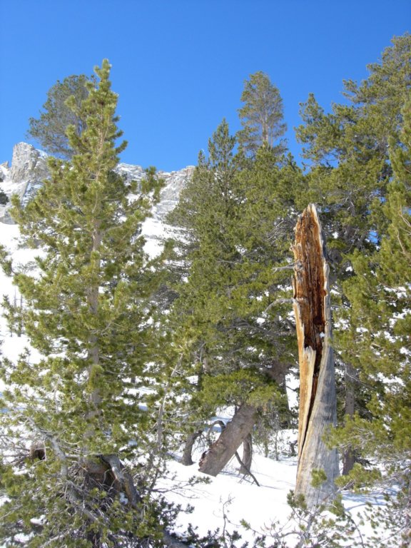 pearlake116.jpg