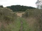 wildcatcamp005_small.jpg