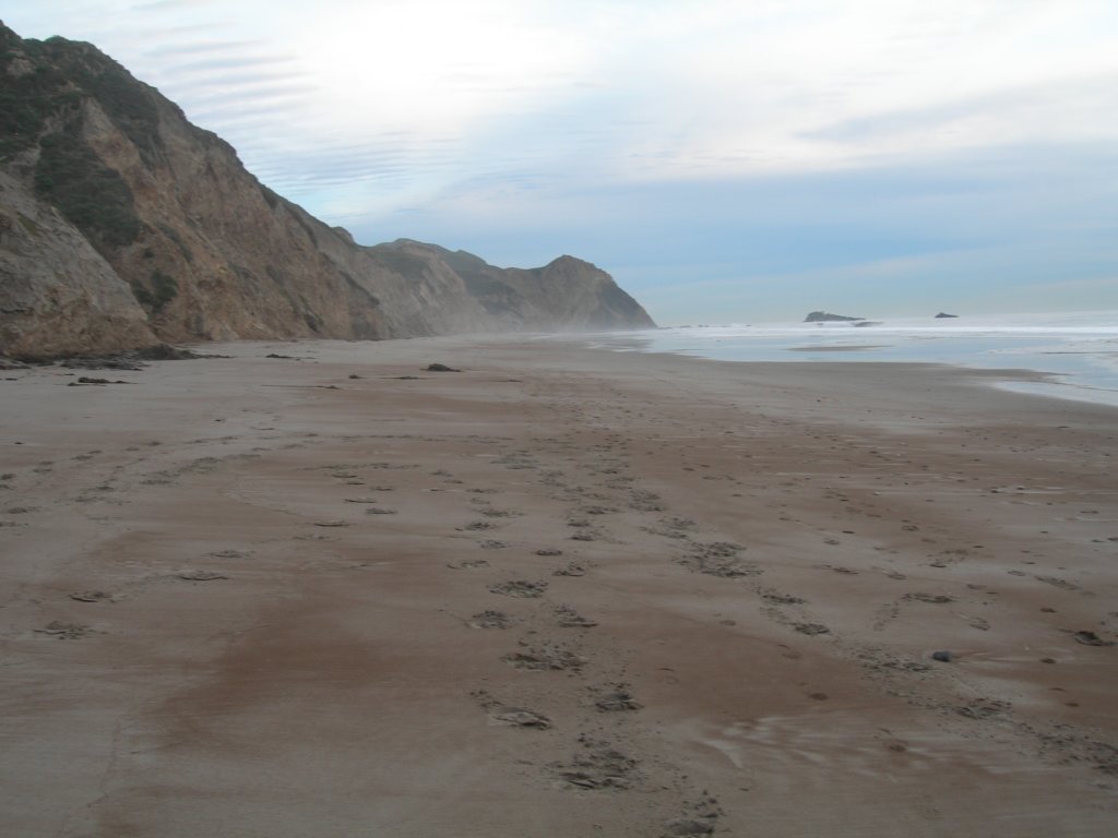 wildcatcamp036.jpg
