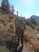 divasbackpack115_small.jpg