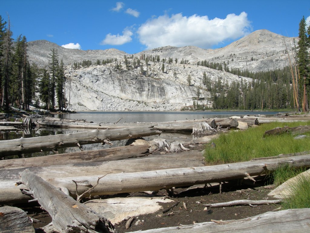 ca_trip07082.jpg