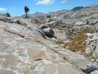 ca_trip07118_small.jpg