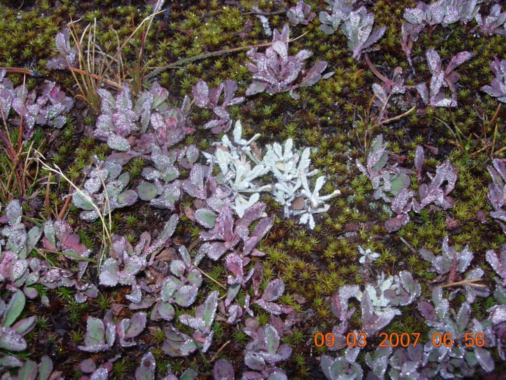 ca_trip2007183.jpg