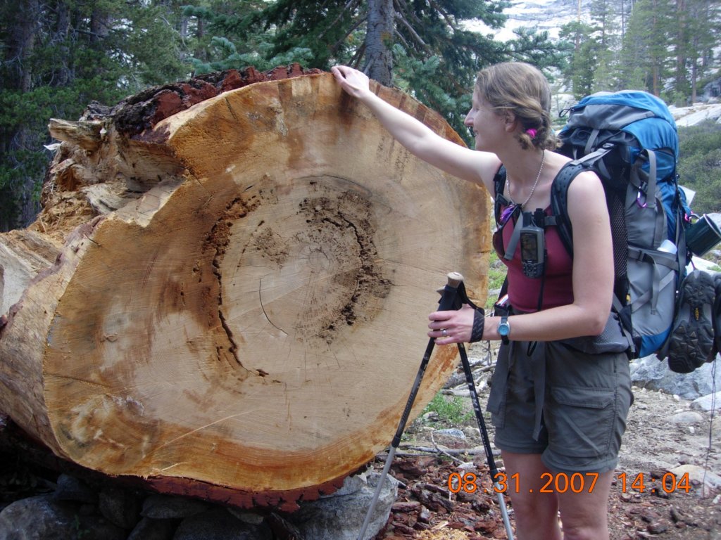 ca_trip200776.jpg