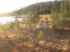 ca_trip07208_small.jpg