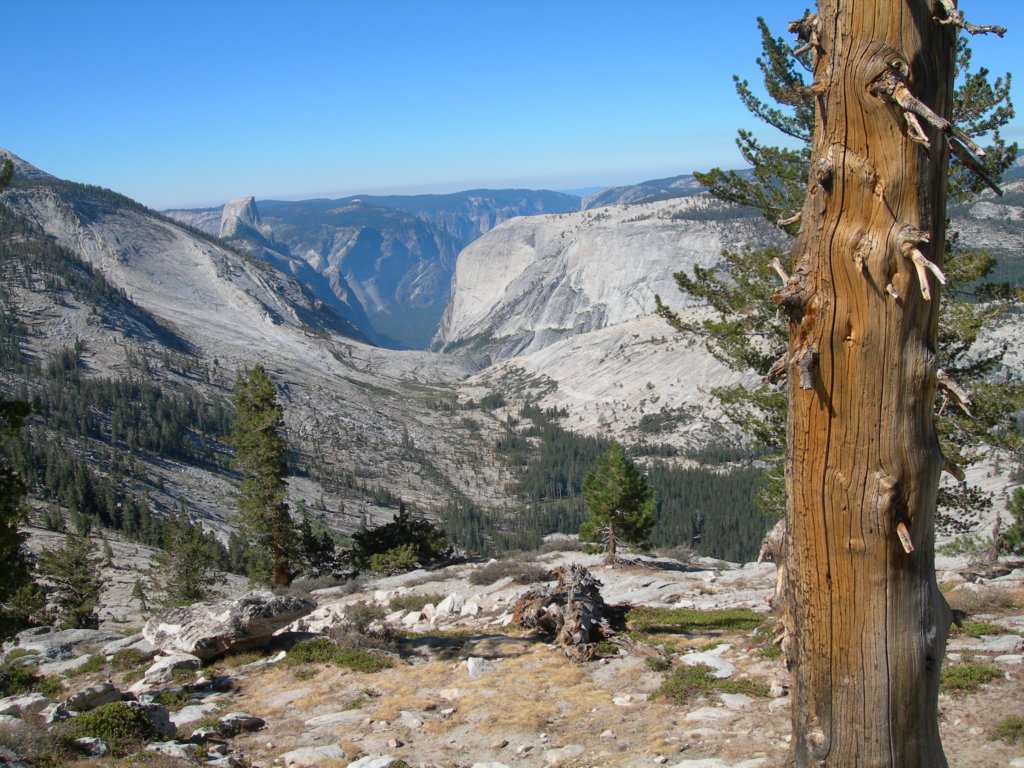 ca_trip07242.jpg