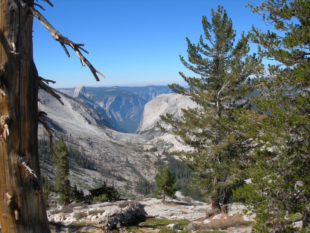 ca_trip07243.jpg