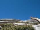 ca_trip07253_small.jpg