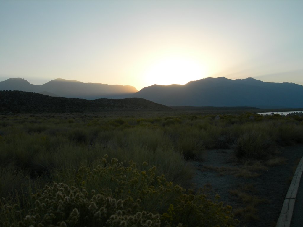 ca_trip07293.jpg