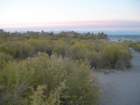 ca_trip07312_small.jpg