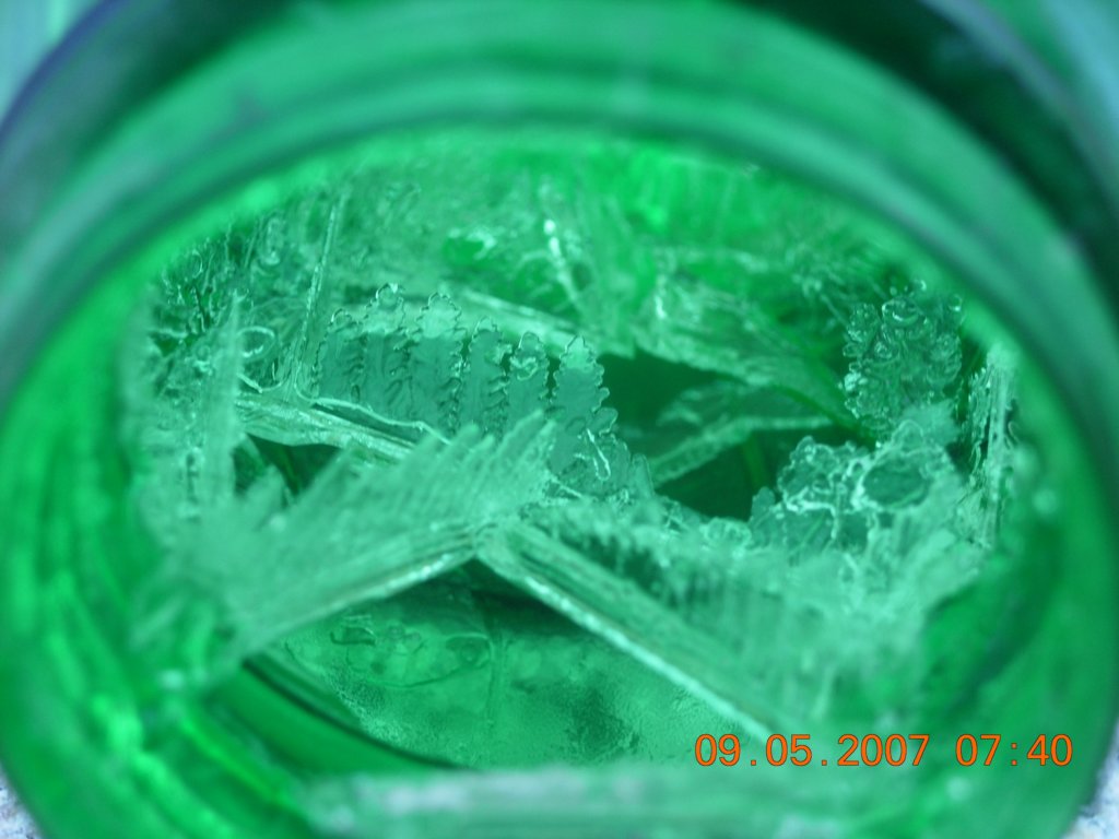 ca_trip2007266.jpg