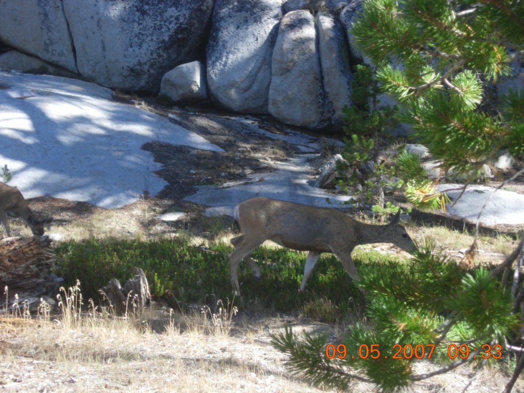 ca_trip2007269.jpg