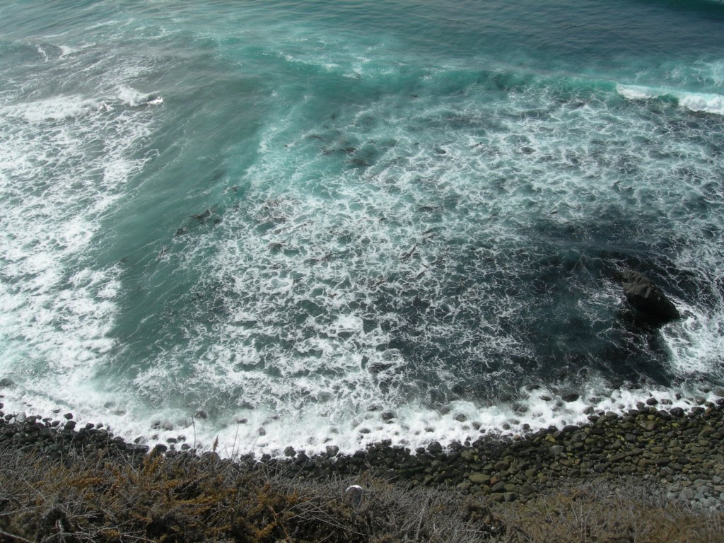 ca_trip07395.jpg