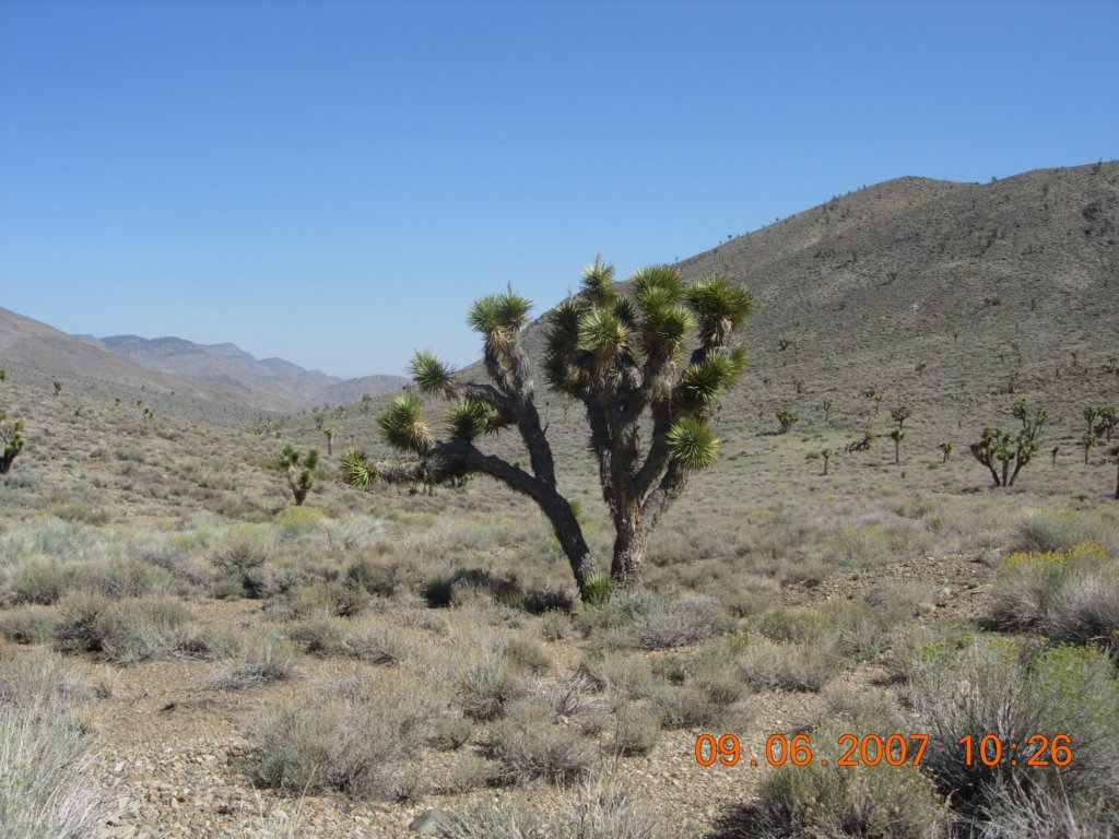 ca_trip2007375.jpg