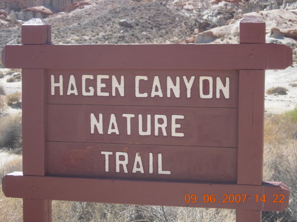 ca_trip2007439.jpg