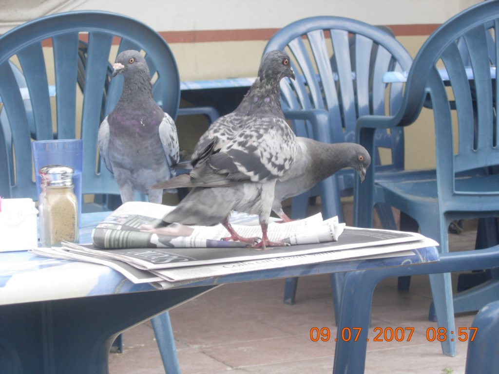 ca_trip2007512.jpg