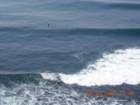 ca_trip2007547_small.jpg