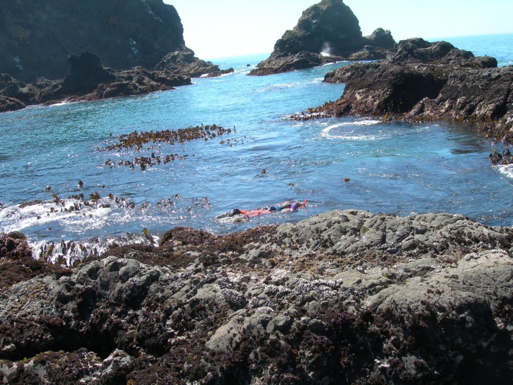 pointarena033.jpg