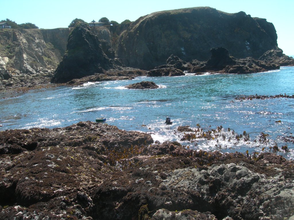 pointarena034.jpg